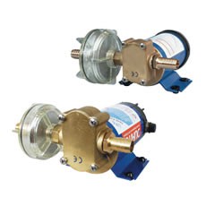 Self-Priming Transfer Pump for Nonflammable Liquids - 12/24V