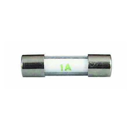 20mm Radio Glass Rapid-Blow Fuse - 10A
