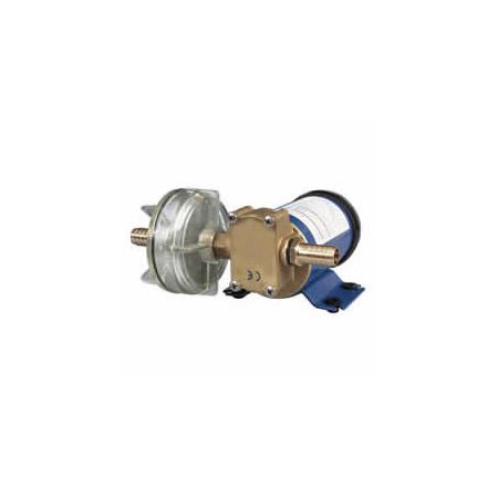 12V Liquid Transfer Pump - 14 Litre/ Minute