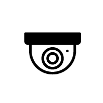 DVS nearside camera monitoring system